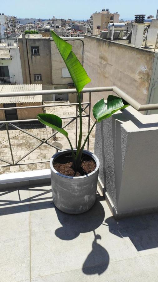 My Home In Greece Atenas Exterior foto
