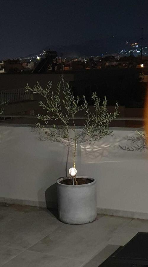 My Home In Greece Atenas Exterior foto